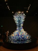 IMG_4390(1)