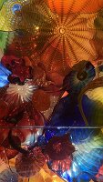 IMG_4402