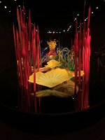 IMG_4414(1)
