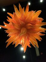 IMG_4440(1)