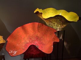 IMG_4448(1)