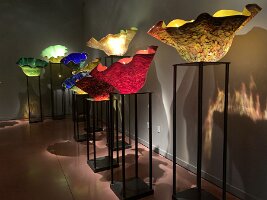 IMG_4452(1)