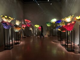 IMG_4457(1)