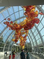 IMG_4464(2)