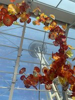 IMG_4465(2)