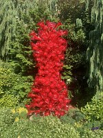 IMG_4487(2)