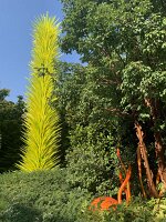 IMG_4490(2)