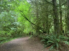 IMG_4505(1)