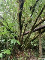 IMG_4509(1)
