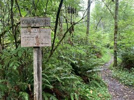 IMG_4512(1)