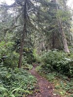 IMG_4513(1)