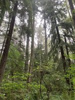 IMG_4520(1)