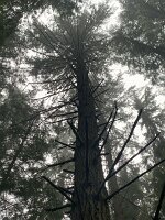 IMG_4522(1)