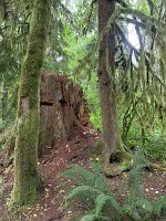IMG_4532(1)