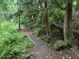 IMG_4540