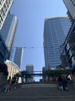 IMG_4298