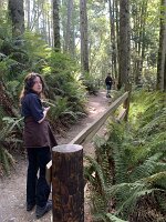 IMG_4677
