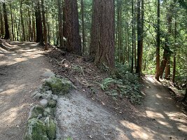 IMG_4686
