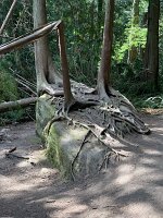 IMG_4688