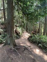 IMG_4697