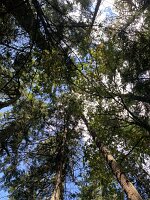 IMG_4701