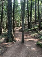 IMG_4703
