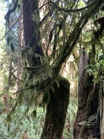 IMG_4710(1)