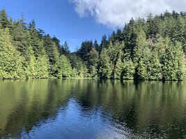 IMG_4716(1)