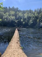 IMG_4719(1)