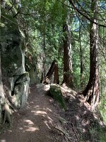 IMG_4723(1)