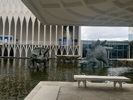 IMG_4661