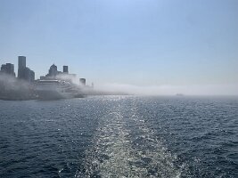 IMG_4219(1)