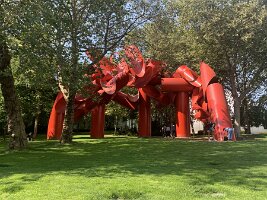 IMG_4318(2)