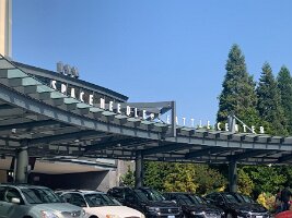 IMG_4325(1)