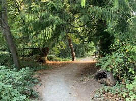 IMG_4571(1)