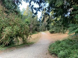 IMG_4576(1)