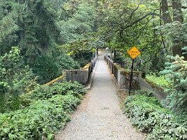 IMG_4583(1)