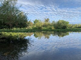 IMG_4586(1)