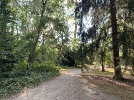 IMG_4592(1)