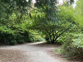 IMG_4604(1)