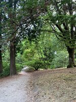 IMG_4607