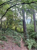 IMG_4612(1)