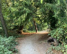 Washington Arboretum
