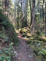 IMG_5106