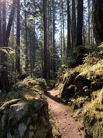IMG_5109(2)