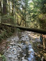 IMG_5125