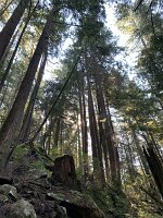 IMG_5127