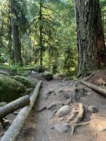 IMG_5132(1)