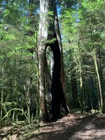 IMG_5134(1)