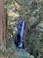 IMG_5139(1)